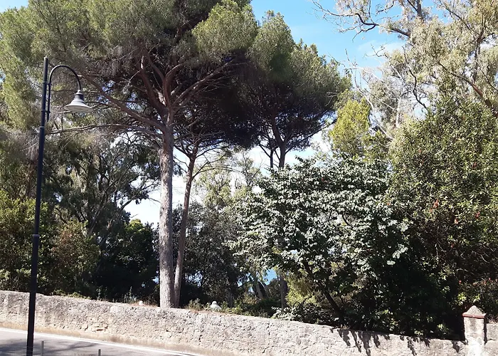 B&B Posidonia Castellabate